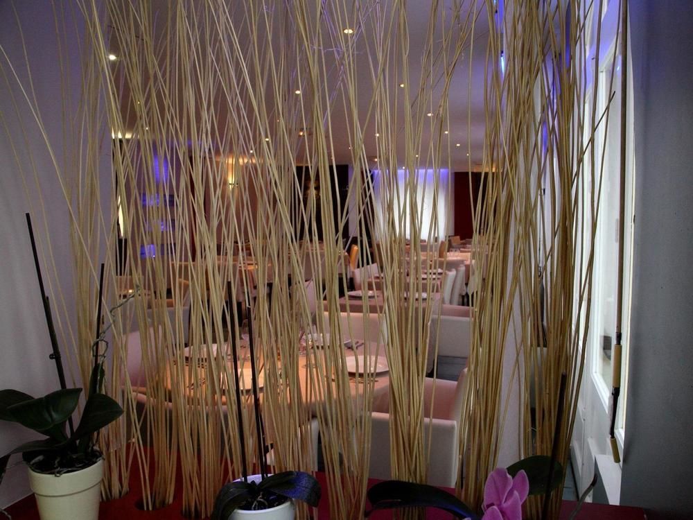 Logis Hotel Restaurant Le Castel Fleuri 생-장-앙-로양 외부 사진